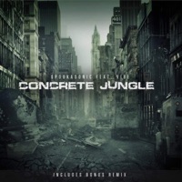 Concrete Jungle + Remix - Single - Spookasonic
