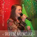 Gaer Eine Sjoenkelaer