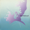 Two Stones In My Pocket - Neil Halstead