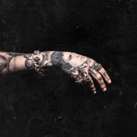 Belly of the Beast - Single - Brennan Savage
