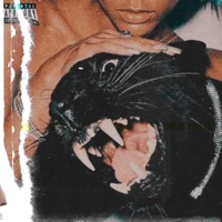 Kat Kall - Single - Saving Ely