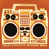 Tommy Guerrero - Mysterious Frequencies