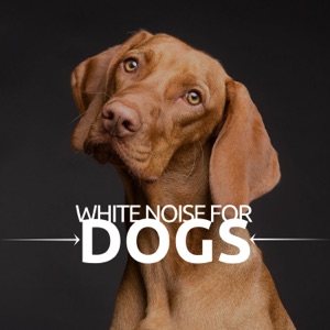White Noise for Dogs - Isochronic Tones & Sounds of Nature for Tense Animals