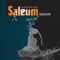 Meulinteung Saheh - Saleum Group lyrics