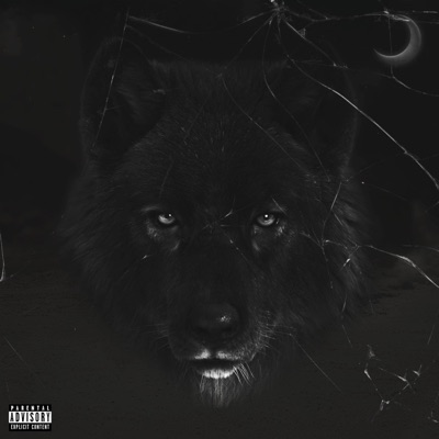 Without Notice - Single