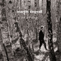 En ny dag (Bonus Version) - Martin Tingvall