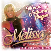 Wenn Träume fliegen: Die ersten Hits artwork