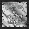 Me Anamore - A.B. Quintanilla III & Kumbia Kings lyrics