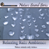 Relaxing Rain Ambience (Nature Sounds Only Version) - Nature Sound Series