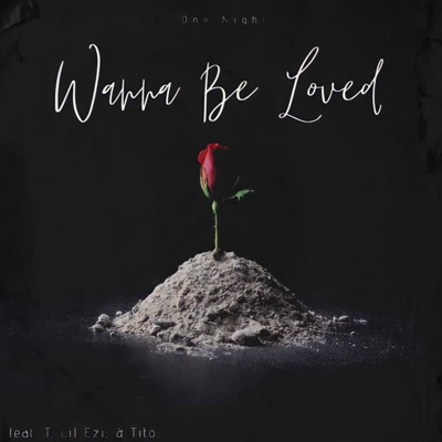 Wanna Be Loved (feat. T, Lil Ezi & Tito) - Single