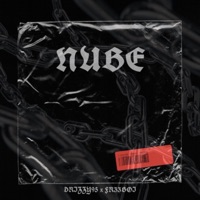 Nube (feat. Drizzy95 & Fr33boi) - Single - Pirv