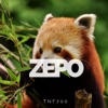 Zepo - Single