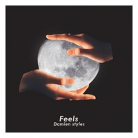 Feels - Single - Damien Styles