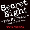 Secret Night~It's My Treat~ [WANDS 第五期 ver.]