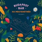 Ha megtehetnéd (feat. Lovasi András) artwork