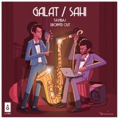 Galat / Sahi artwork