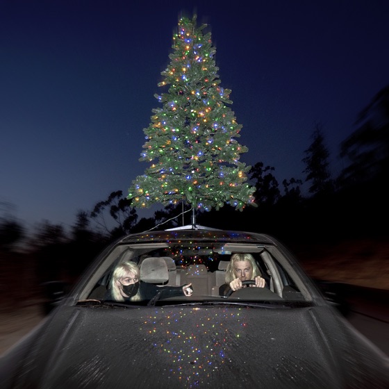 Cover artwork for sympathy 4 the grinch