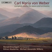 Piano Concerto No. 1 in C Major, Op. 11, J. 98: I. Allegro artwork