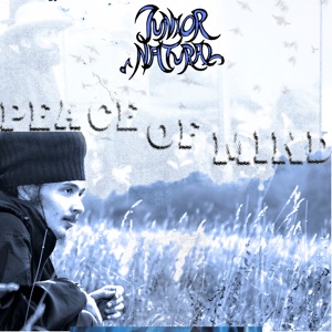 Peace of Mind - Single