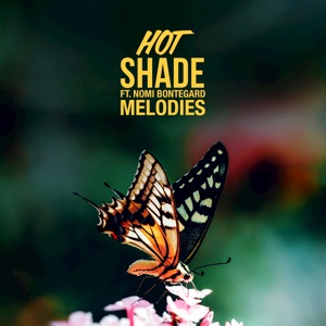 Melodies (feat. Nomi Bontegard) - Single