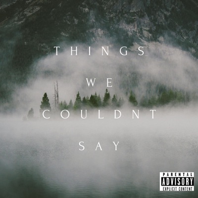 Things We Couldn't Say (feat. Leakz 2.0) - Single