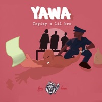 Yawa (feat. Lil B.R.O) - Single - Tegizy