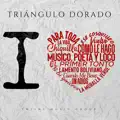 MUSICO POETA Y LOCO