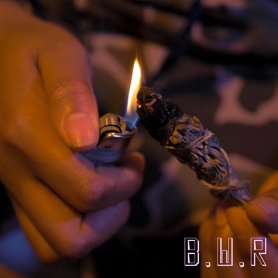 B.W.R (Black Woman Rant) - Single