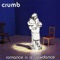 Kid Klone (Album Version) - Crumb lyrics