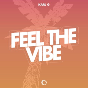 Feel the Vibe - Single
