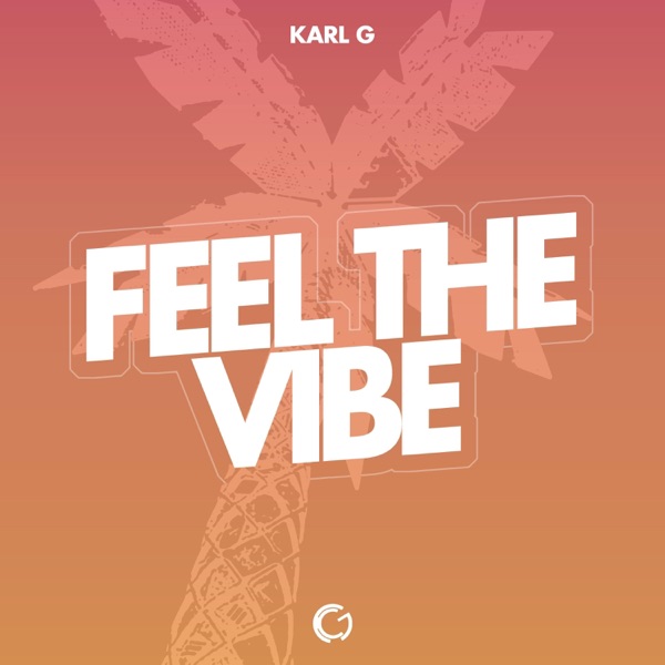 Feel the Vibe - Single