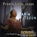 Oí la voz de Cristo
