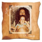 Damian "Jr. Gong" Marley - Me Name Jr. Gong