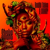 Shake (Main Mix) artwork