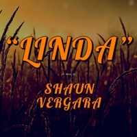 Linda (feat. Shaun Vergara) - Single - Space Lab