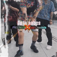 Tu Lo Sabes (feat. Ugly Models) - Single - Riccheza