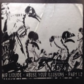 Abuse Your Illusions, Part 1.2 artwork