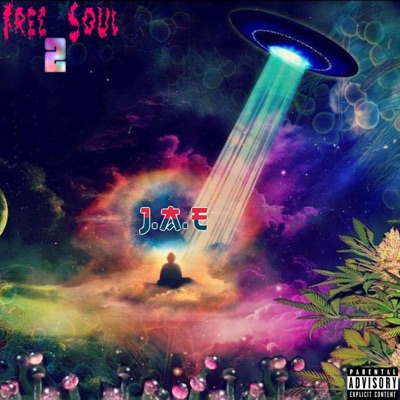 Free Soul 2