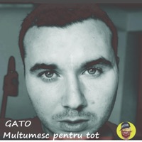 Multumesc Pentru Tot - Single - Gato