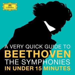 Symphony No. 9 in D Minor, Op. 125: Presto - 