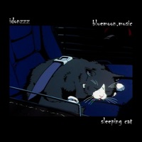 Sleeping Cat (feat. Bluemoon.Music) - Single - Idonzzz