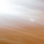 Royal Peppermint Forest