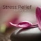 Stress Relief - Healing Music Spirit lyrics