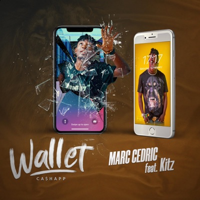 Wallet (feat. Kitz) - Single