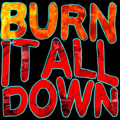Burn It All Down - Single