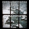 Windows - Single