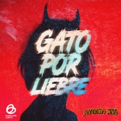 Gato por Liebre artwork