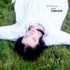 Dream Forever - Single