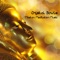 Zen Shakuhachi - Asian Zen Spa Music Meditation lyrics