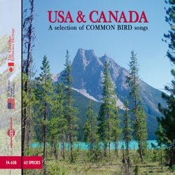 Usa &amp; Canada, A Selection Of Common Bird Songs - Various Artists Cover Art